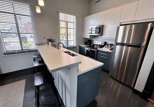 Luxe downtown loft | arts & ale walkable