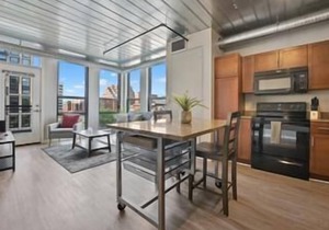 Luxurious 2 Bedroom Condo Heart of Ann Arbor with Unmatched Amenities 431
