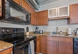 Luxurious 2 Bedroom Condo Heart of Ann Arbor with Unmatched Amenities 431