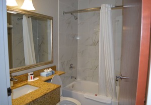 Microtel Inn & Suites by Wyndham BWI Airport Baltimore
