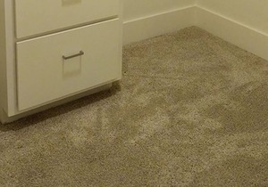 Montrose / River Oaks Apartment 2