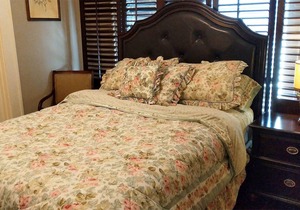 Montrose / River Oaks Apartment 3