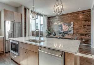 Nashville Dreams - Sleeps 16 - Two Rooftops with Downtown view!