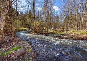 Neal Creek Retreat