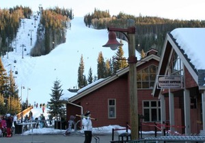 North Fork Lodge 577 by SummitCove Lodging