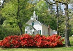 Pet friendly only 4 miles from Beautiful Downtown Helen!