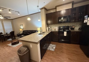 Pool View King 1 Bedroom/1 Bath Condo in The Woodl