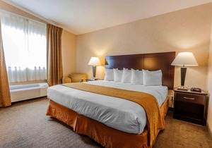 Quality Inn Arlington