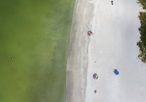 Resort Sixty-Six, Holmes Beach, Florida, 1 Bedroom Suite