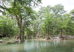 River Grove Rentals House #4