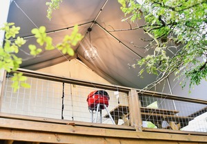 Romantic Getaway Cabin on Creek! Relax and unwind surrounded by nature! - SG4