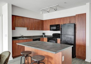 Serene Downtown Bellevue 2BR w/W/D & Storage, near Shops, by Blueground