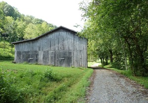 Shaggy Bark Camping3. A more private camping experience. The 75 acre Walker Farm