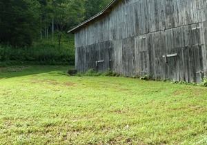 Shaggy Bark Camping7. A more private camping experience. The 75 acre Walker Farm