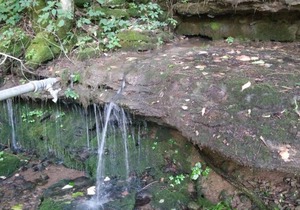 Shaggy Bark Camping7. A more private camping experience. The 75 acre Walker Farm