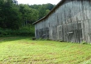 Shaggy Bark Camping7. A more private camping experience. The 75 acre Walker Farm