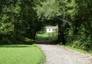 Shaggy Bark Camping8. A more private camping experience. The 75 acre Walker Farm