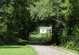 Shaggy Bark Camping9. A more private camping experience. The 75 acre Walker Farm