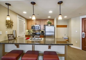 Ski In Out Luxury Condo 4375 I Huge Hot Tub I Great Views I Best Price I Discounted Attractions