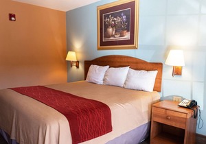 Sky Palace Inn & Suites By Jasper Laredo - Deluxe 1King Bed Non Smoking