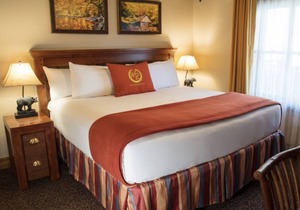 Smoky Mountain Resort & Waterpark