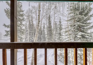 Snow Shoe 5A
