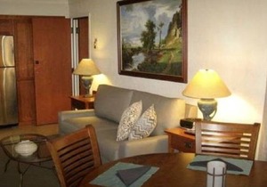 Snowbird - condo (Snowbird - Alta Utah)