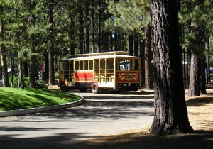 Tahoe Valley Cottage 4