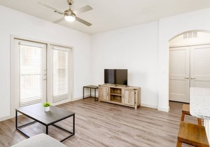 Texas Corporate Housing Professional 1BR Apartment