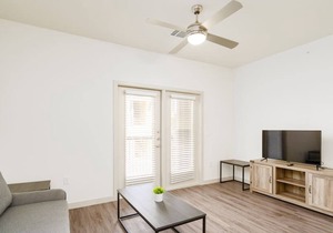 Texas Corporate Housing Professional 1BR Apartment