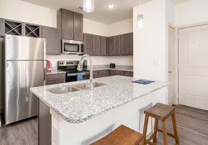Texas Corporate Housing Professional Apartment