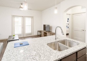 Texas Corporate Housing Professional Apartment