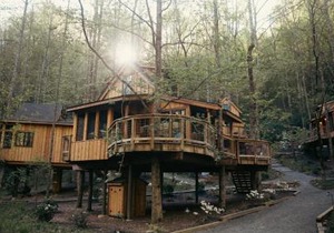 The Poplar in Treehouse Grove at Norton Creek