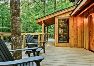 The Poplar in Treehouse Grove at Norton Creek
