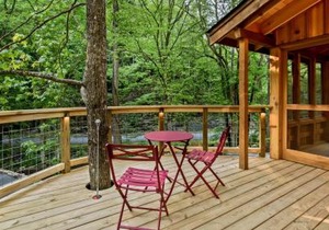 The Poplar in Treehouse Grove at Norton Creek