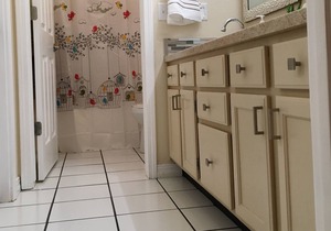 Vet Owned 2 KING beds ,Wifi/Big Screen TV! ONE Dog ok w/pet fee.