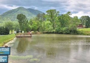 Your essence will be at ease when you arrive at Smoky Cascades.