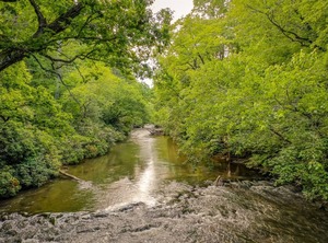 Rendezvous The River | Ellijay