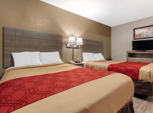Econo Lodge Dewitt | DeWitt