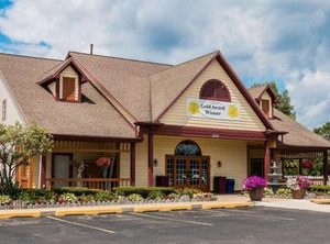 Econo Lodge Inn | Grand Rapids
