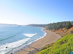 Shilo Newport | Newport