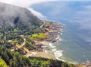 Shilo Newport | Newport