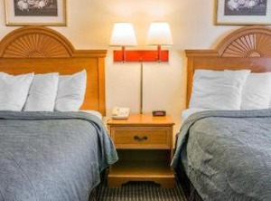 Quality Inn Wings Stadium | Kalamazoo