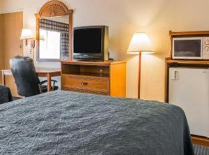 Quality Inn Wings Stadium | Kalamazoo