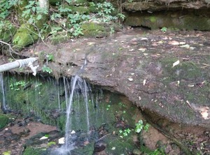 Shaggy Bark Camping Experience The Acre Walker Farm | Gainesboro