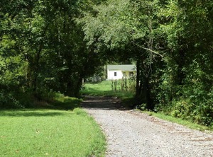Shaggy Bark Camping Experience The Acre Walker Farm | Gainesboro