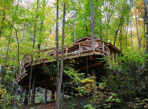 The Treehouse Grove At Norton Creek | Gatlinburg