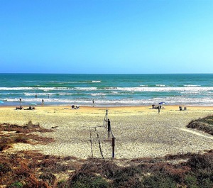 Suntide Padre Island 
