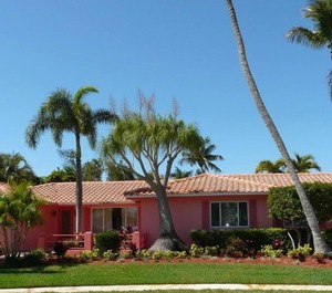 Buttonwood Court 