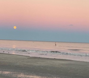 Ocean Villas Hilton Head Island 